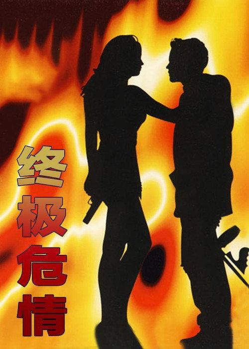 Final Target 1994 official movie poster