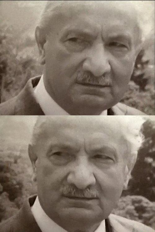 Martin Heidegger - Im Denken Unterwegs 1975 official movie poster