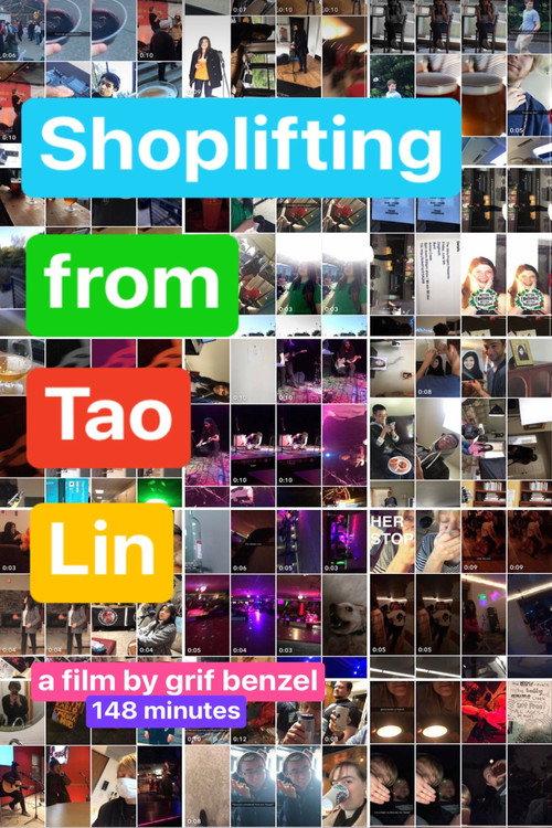 Shoplifting from Tao Lin 2023 official movie poster