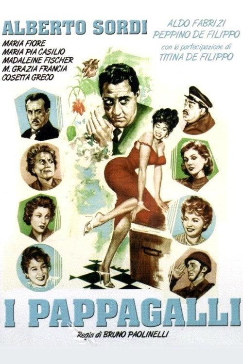 I pappagalli 1955 official movie poster