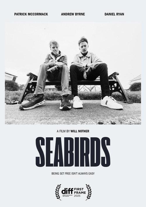 Seabirds 2025 official movie poster