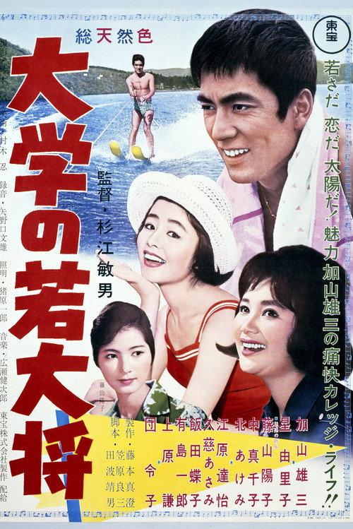 Sir Galahad in Campus 1961 official movie poster