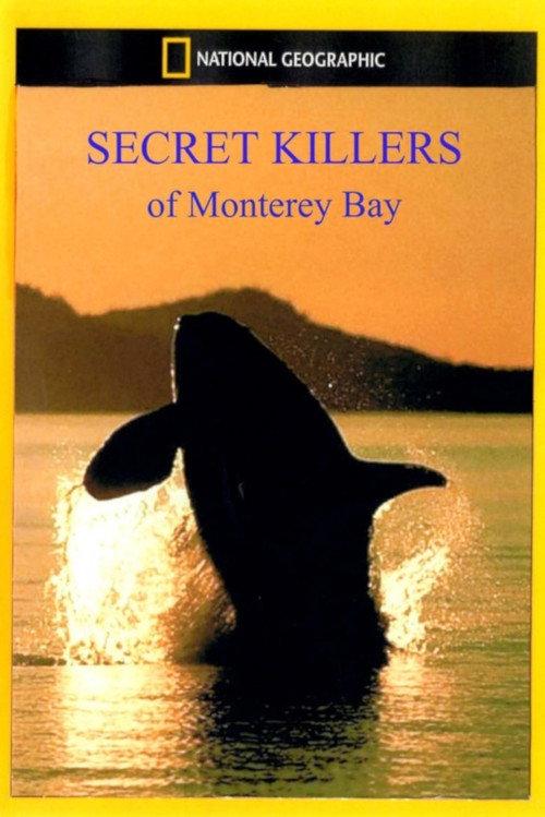 Secret Killers of Monterey Bay 2002 official movie poster