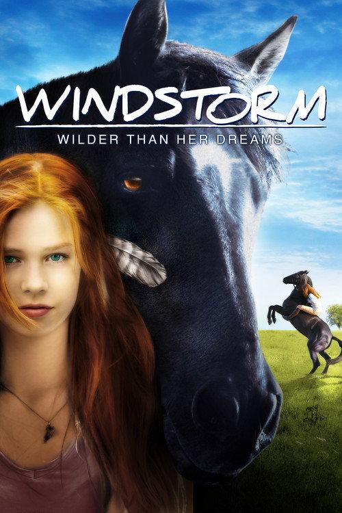 Windstorm 2013 official movie poster