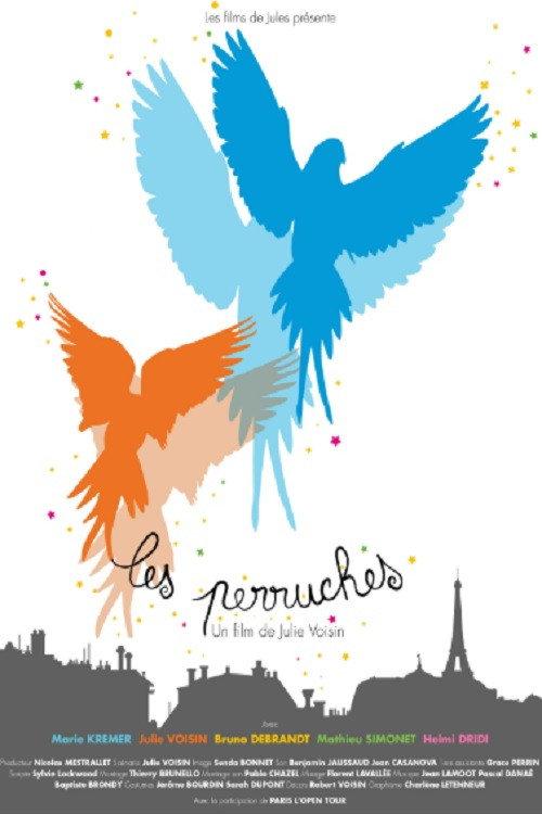 Les Perruches 2013 official movie poster