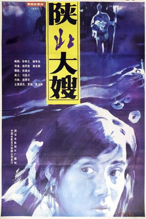 A Woman from North Shaanxi 1993 official movie poster