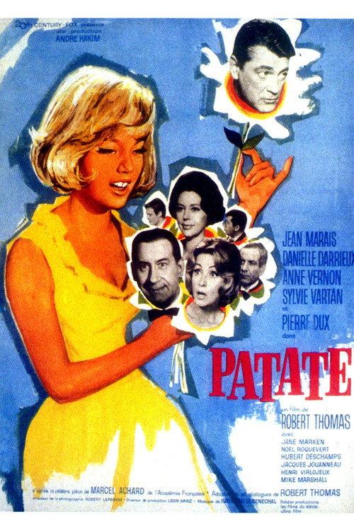 Friends of the family 1964 official movie poster