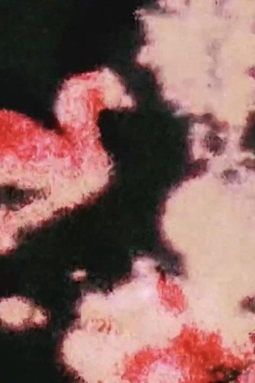 Hejira, Fragmented 2026 official movie poster