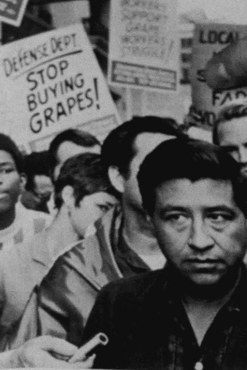 Stop Buying Grapes 1982 official movie poster
