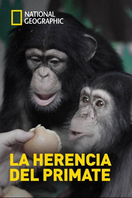 The Human Ape 2009 official movie poster