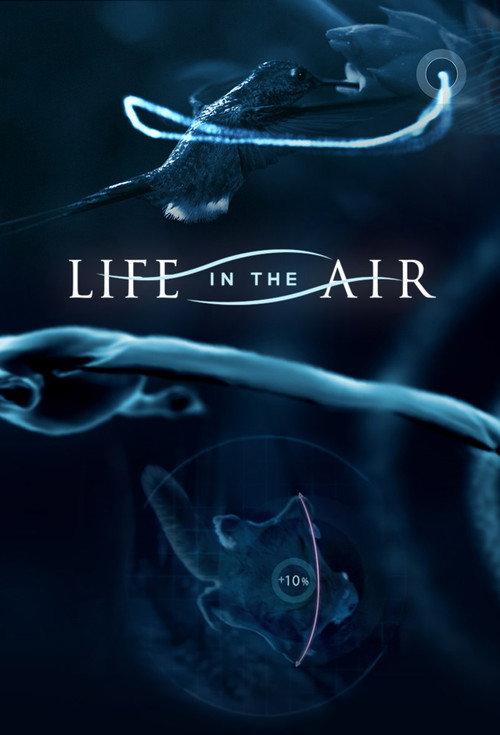 Life in the Air 2016 official movie poster
