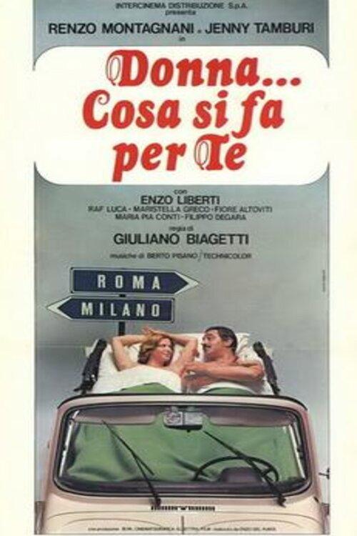 Donna... cosa si fa per te 1976 official movie poster