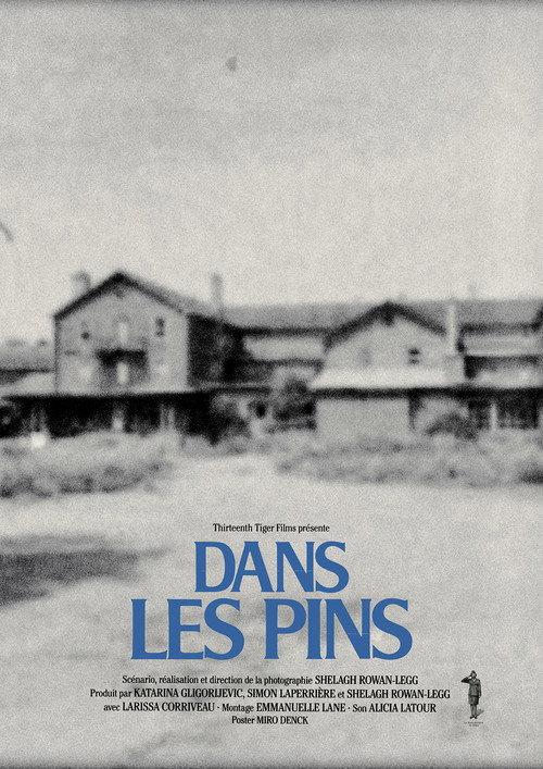 Among the Pines  official movie poster