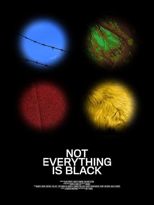 Not Everything Is Black 2019 official movie poster