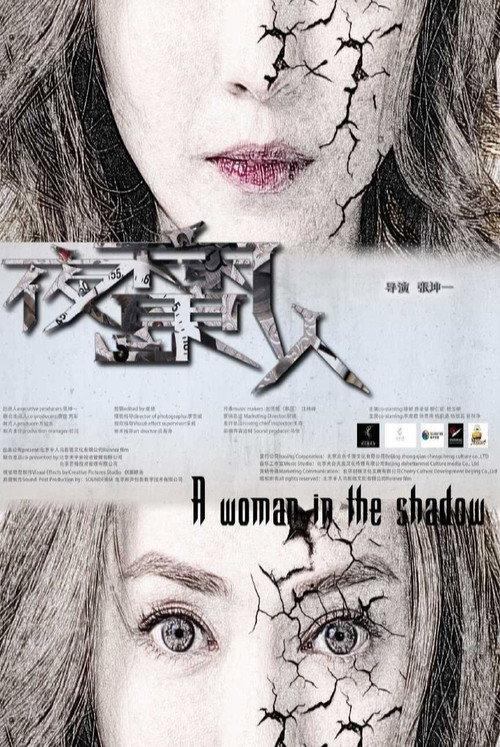 A Woman in the Shadow 2016 official movie poster