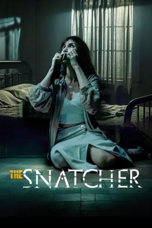 The Snatcher 2024 official movie poster