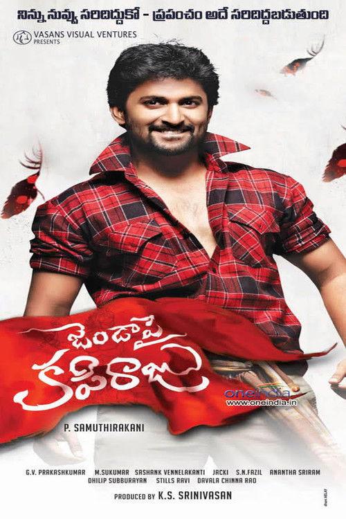 Janda Pai Kapiraju 2015 official movie poster