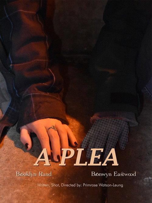A Plea 2024 official movie poster