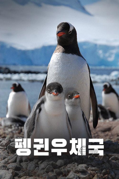 Penguin Post Office 2015 official movie poster