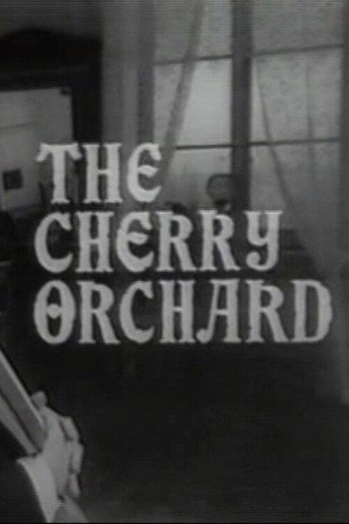 The Cherry Orchard 1971 official movie poster