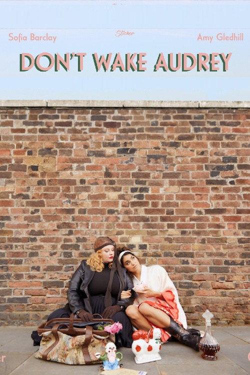 Don’t Wake Audrey 2023 official movie poster