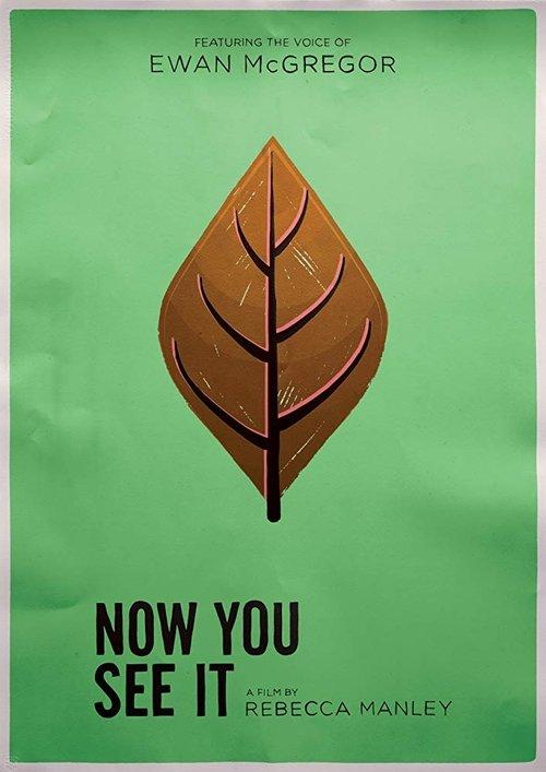 Now You See It 2017 official movie poster