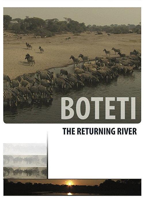 Boteti: The Returning River 2011 official movie poster