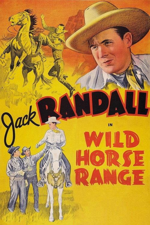 Wild Horse Range 1940 official movie poster