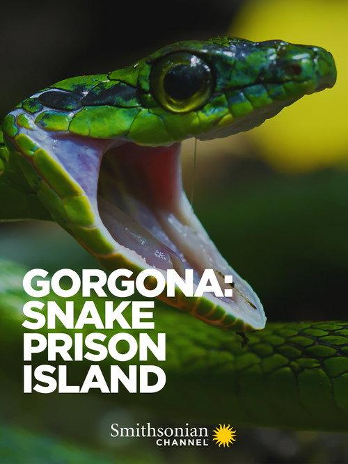 Gorgona: Snake Prison Island 2022 official movie poster