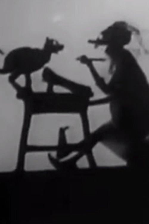 Noah Put The Cat Out 1922 official movie poster