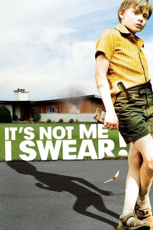 It's Not Me, I Swear! 2008 official movie poster