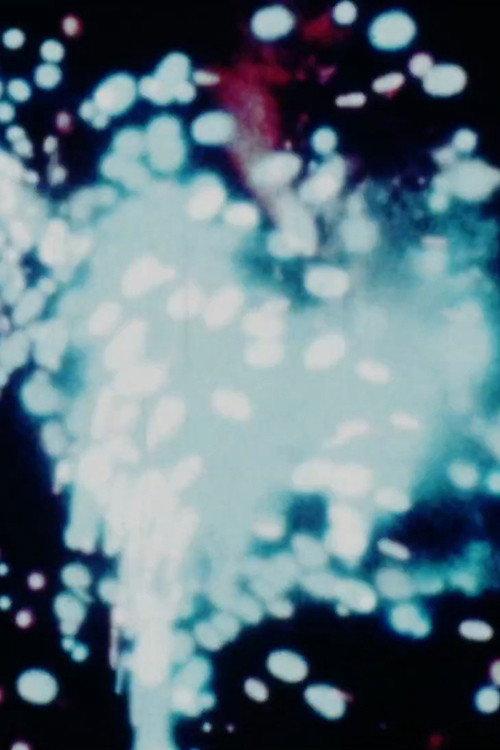 Fireworks 1976 official movie poster