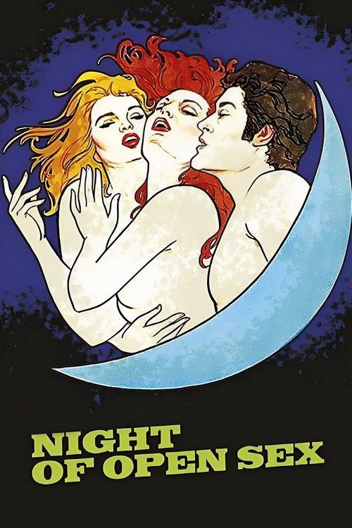 The Night Of Open Sex 1983 official movie poster