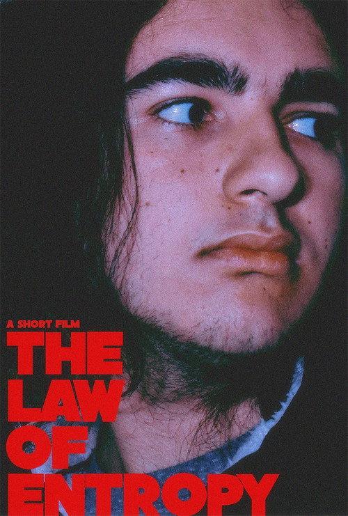 The Law of Entropy 2022 official movie poster