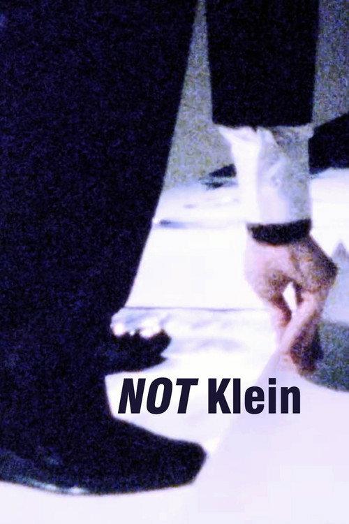 Mike Bidlo: NOT Klein 1985 official movie poster