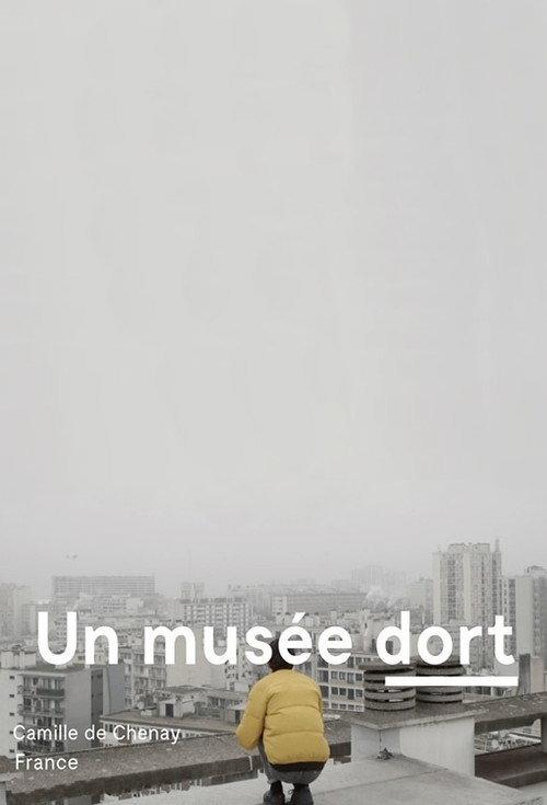 A Museum Sleeps 2020 official movie poster