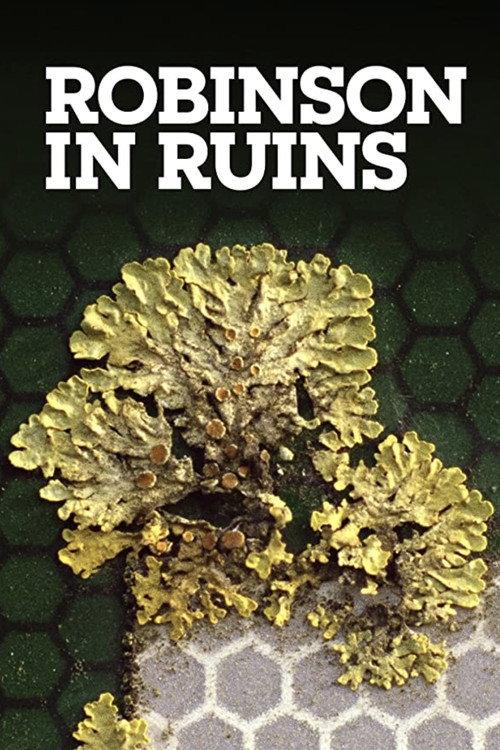 Robinson in Ruins 2010 official movie poster