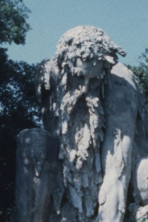 Platorino official movie poster