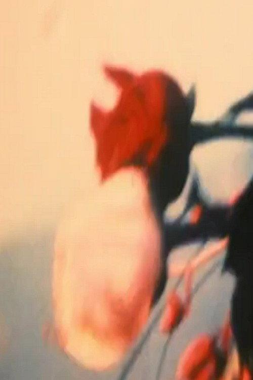 Fisherman 1998 official movie poster