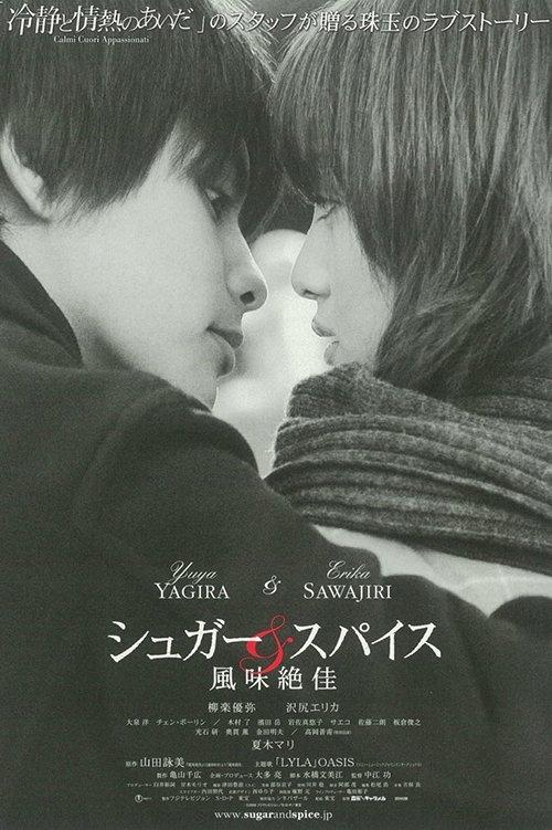 Sugar & Spice 2006 official movie poster