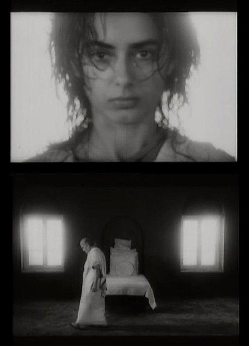 The Wisdom Tree 1985 official movie poster