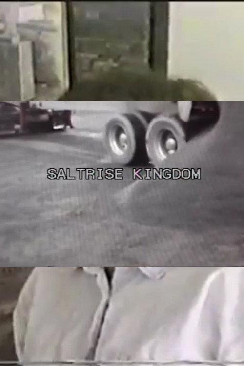 Saltrise Kingdom 2013 official movie poster