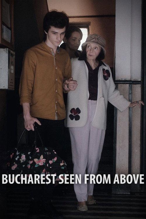 Bucharest Seen from Above 2020 official movie poster