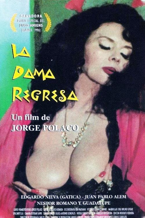 The Lady Is Back 1996 official movie poster
