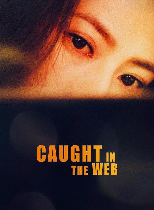 Caught in the Web 2012 official movie poster