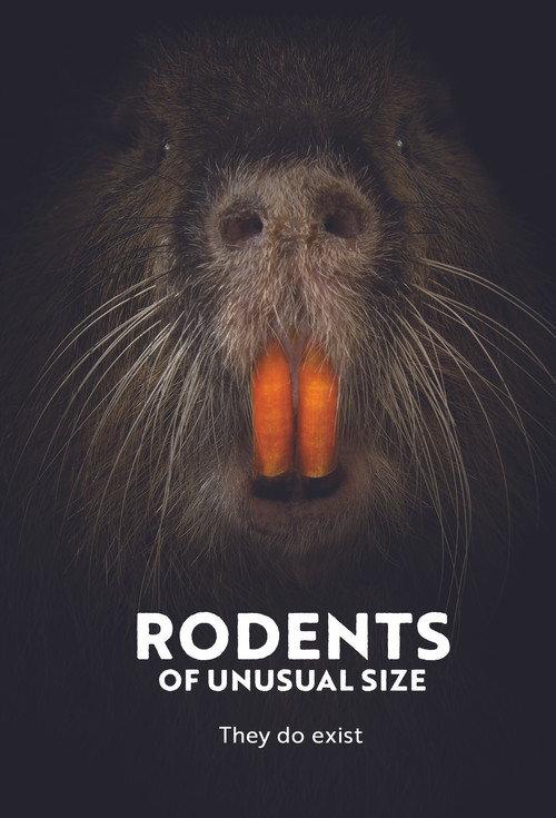 Rodents of Unusual Size 2017 official movie poster