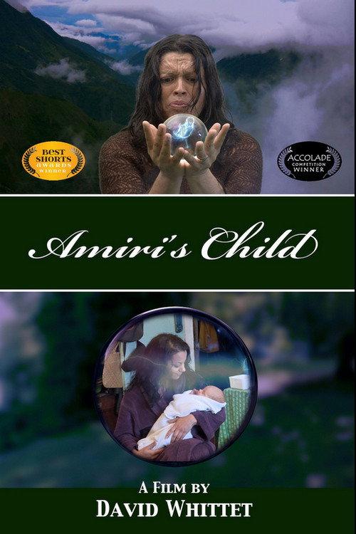 Amiri's Child 2014 official movie poster