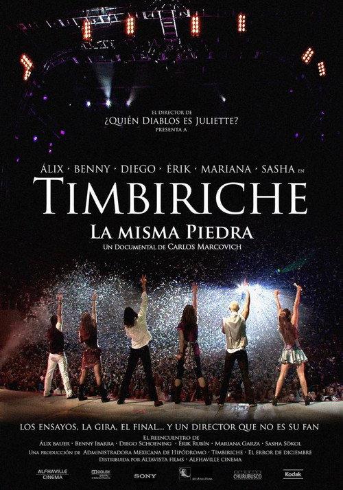 Timbiriche: La misma piedra 2008 official movie poster
