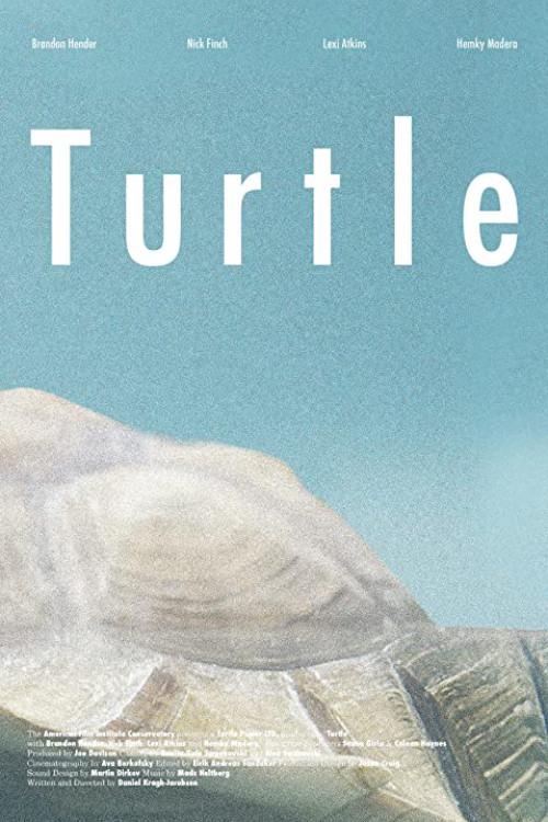 Turtle 2014 official movie poster