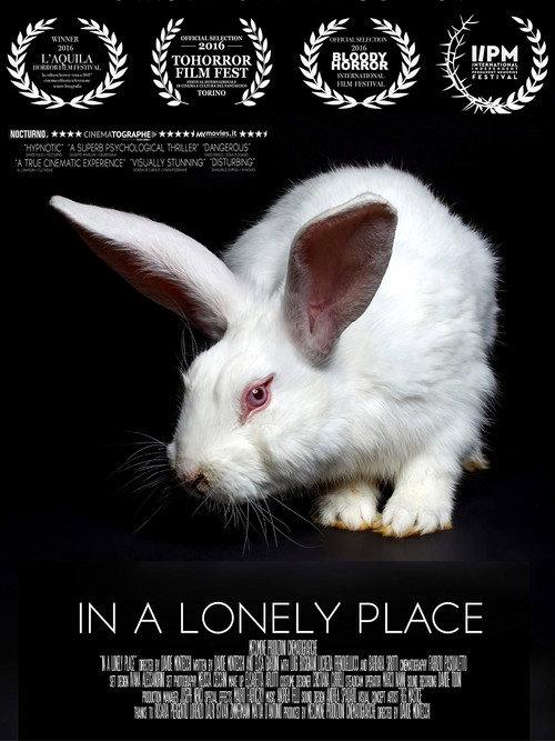 In a Lonely Place 2017 official movie poster